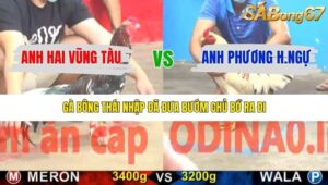 TRẬN 3 CPC5 14/1/2026