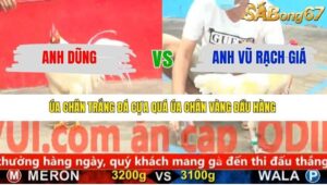 TRẬN 3 CPC5 6/1/2026