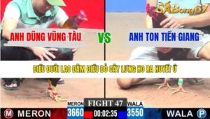 TRẬN 47 CPC3 15/1/2026