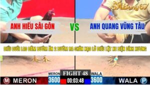 TRẬN 48 CPC3 15/1/2026