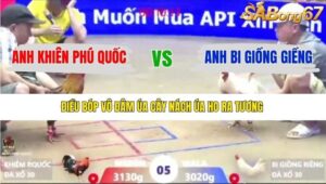 TRẬN 5 XÀ XÍA 6/1/2026