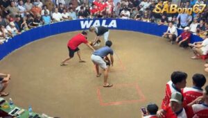 Kèo giao lưu của anh Hắc Coca