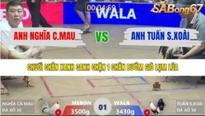 TRẬN 1 XÀ XÍA 17/1/2026