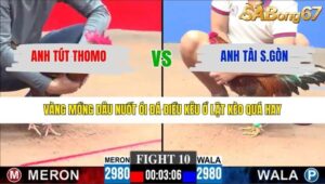 TRẬN 10 CPC3 27/1/2026