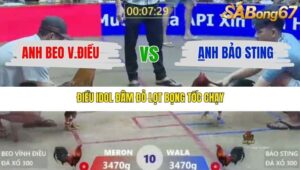 TRẬN 10 XÀ XÍA 1/1/2026