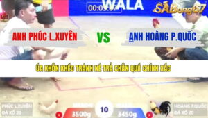 TRẬN 10 XÀ XÍA 9/1/2026