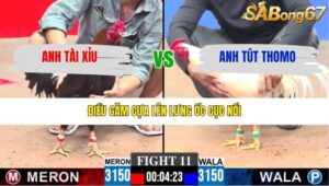 TRẬN 11 CPC3 25/1/2026