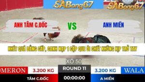 TRẬN 11 TONHON 28/1/2026