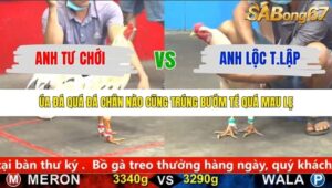 TRẬN 12 CPC5 24/1/2026