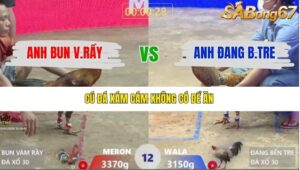 TRẬN 12 XÀ XÍA 10/1/2026