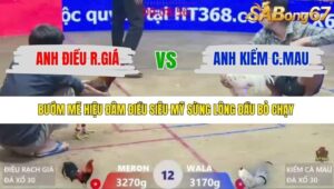 TRẬN 12 XÀ XÍA 11/1/2026