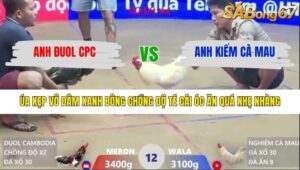 TRẬN 12 XÀ XÍA 29/1/2026