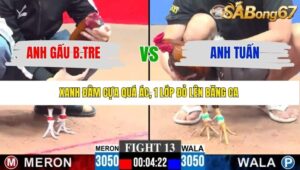 TRẬN 13 CPC3 23/1/2026