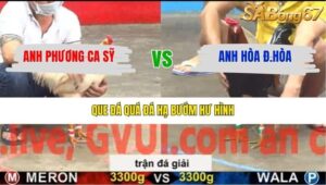 TRẬN 13 CPC5 28/1/2026