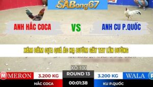 TRẬN 13 TONHON 7/1/2026