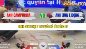 TRẬN 13 XÀ XÍA 20/1/2026