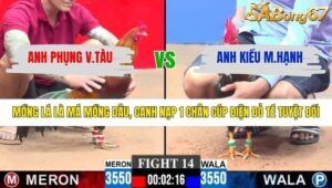 TRẬN 14 CPC3 27/1/2026