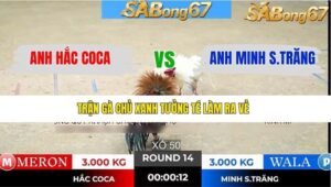 TRẬN 14 TONHON 7/1/2026