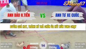 TRẬN 14 XÀ XÍA 20/1/2026