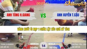 TRẬN 14 XÀ XÍA 26/1/2026