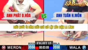 TRẬN 15 CPC3 23/1/2026