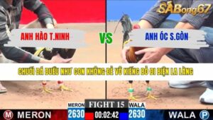 TRẬN 15 CPC3 27/1/2026