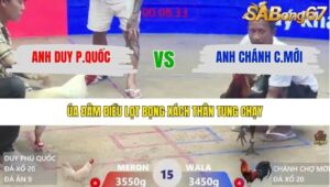 TRẬN 15 XÀ XÍA 30/1/2026