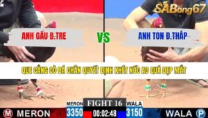 TRẬN 16 CPC3 25/1/2026