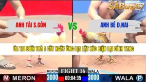 TRẬN 16 CPC3 27/1/2026