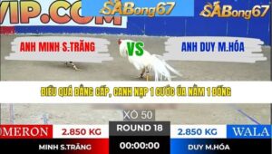 TRẬN 18 TONHON 28/1/2026