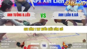 TRẬN 16 XÀ XÍA 30/1/2026