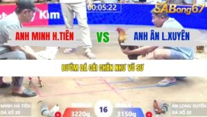 TRẬN 16 XÀ XÍA 9/1/2026