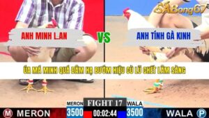 TRẬN 17 CPC3 29/1/2026