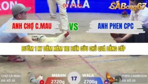 TRẬN 17 XÀ XÍA 10/1/2026