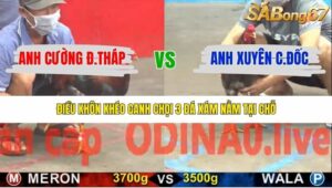 TRẬN 18 CPC5 16/1/2026