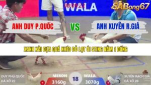 TRẬN 18 XÀ XÍA 19/1/2026