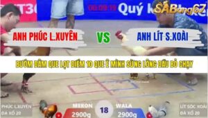 TRẬN 18 XÀ XÍA 20/1/2026