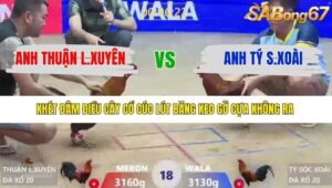 TRẬN 18 XÀ XÍA 5/1/2026