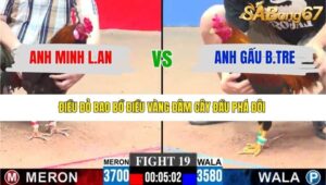 TRẬN 19 CPC3 18/1/2026