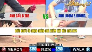 TRẬN 19 CPC3 25/1/2026