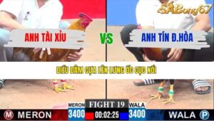 TRẬN 19 CPC3 8/1/2026