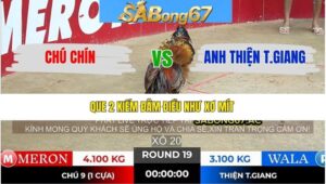 TRẬN 19 TONHON 10/1/2026