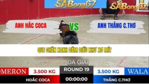 TRẬN 19 TONHON 28/1/2026