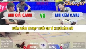 TRẬN 19 XÀ XÍA 11/1/2026