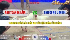 TRẬN 19 XÀ XÍA 19/1/2026