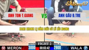 TRẬN 2 CPC3 11/1/2026