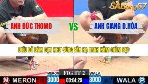 TRẬN 2 CPC3 25/1/2026