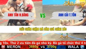 TRẬN 2 CPC5 26/1/2026