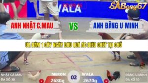 TRẬN 2 XÀ XÍA 21/1/2026