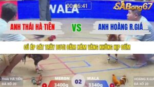 TRẬN 2 XÀ XÍA 24/1/2026